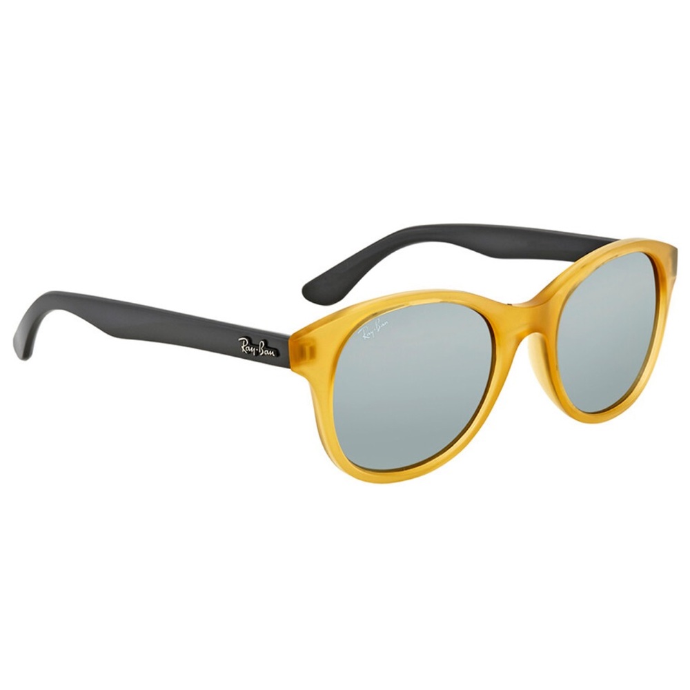 Ray-Ban RB4203 Sunglasses in Gold/Black